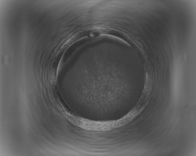 X0000080780048200612151440