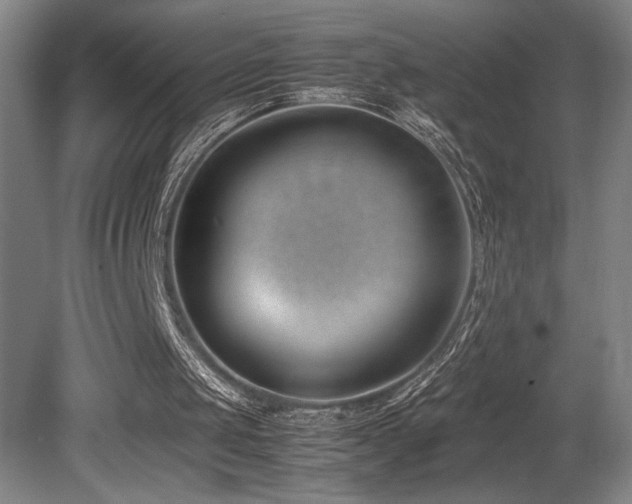 X0000080780049200612151439
