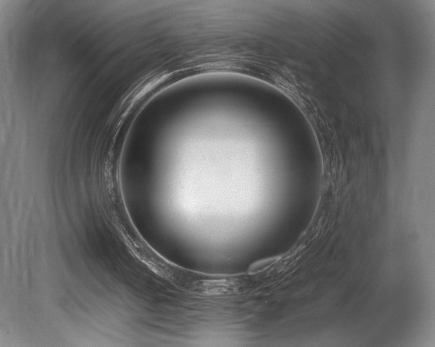 X0000080780050200612151439