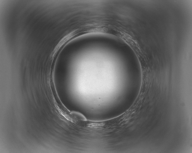 X0000080780051200612151439
