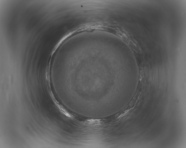 X0000080780052200612151439