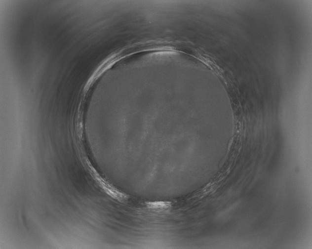 X0000080780053200612151439