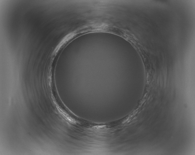 X0000080780054200612151439
