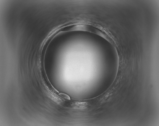 X0000080780055200612151439