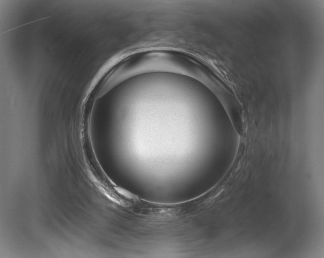 X0000080780056200612151439