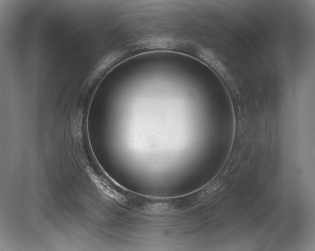 X0000080780058200612151439