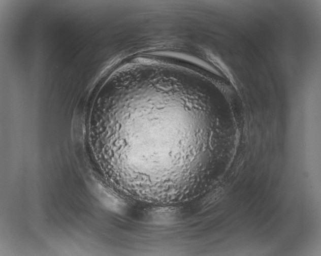 X0000080780059200612151439