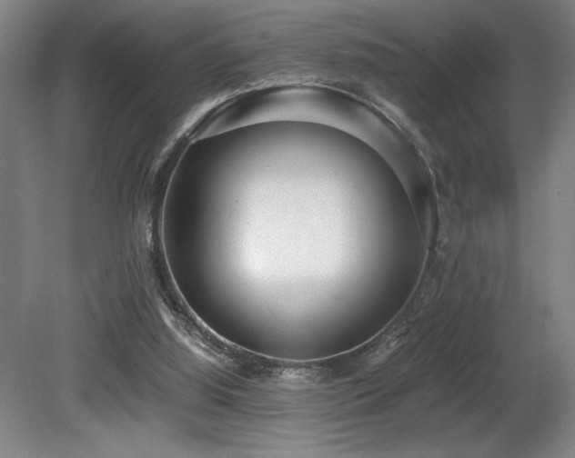 X0000080780060200612151439