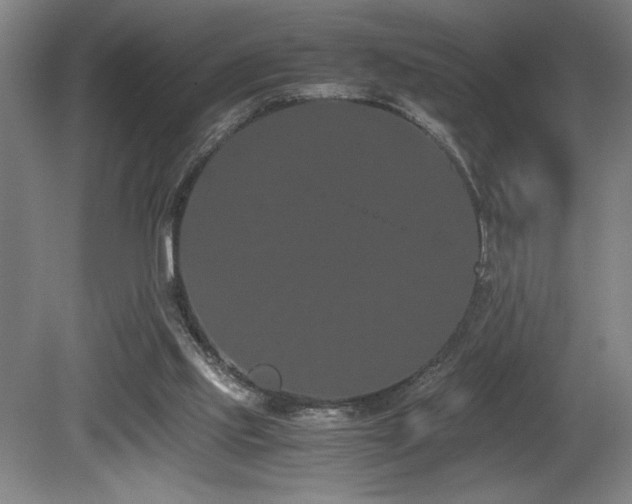 X0000080780061200612151439