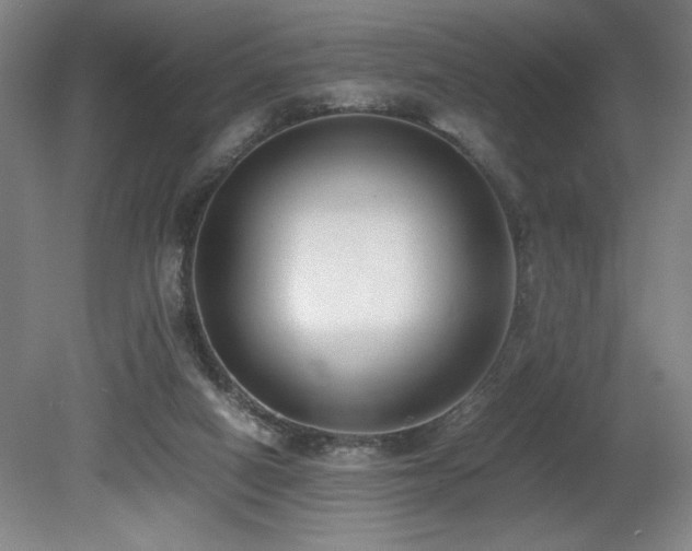 X0000080780066200612151439