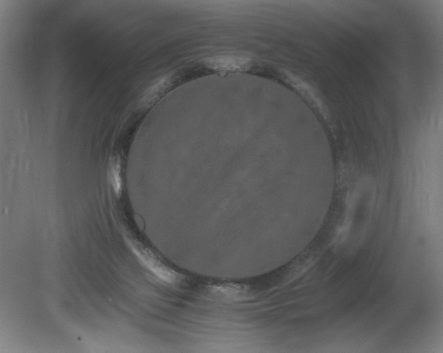 X0000080780069200612151440