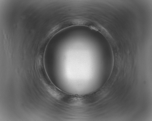 X0000080780071200612151440