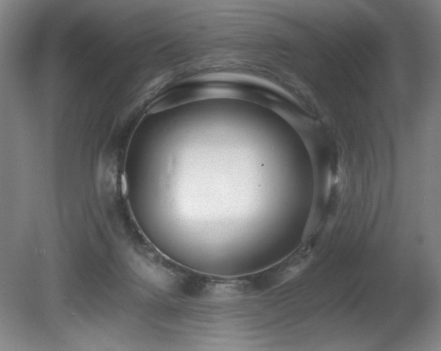 X0000080780072200612151440
