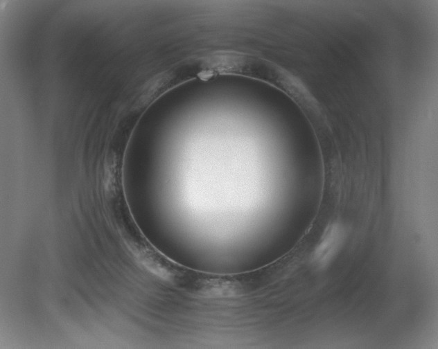 X0000080780073200612151440