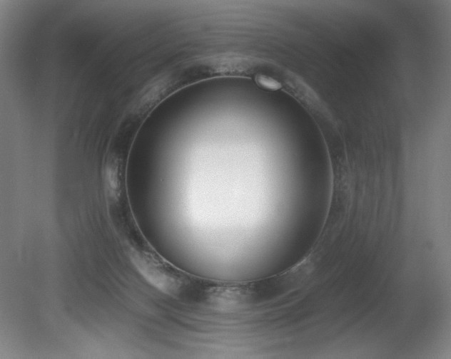 X0000080780074200612151440