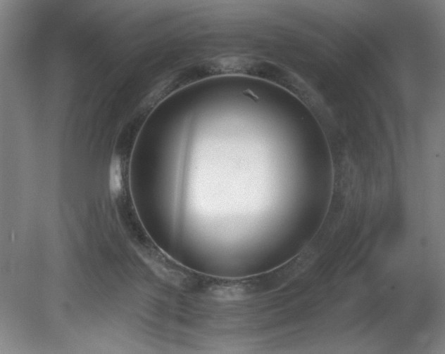 X0000080780075200612151440