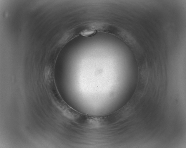 X0000080780079200612151440