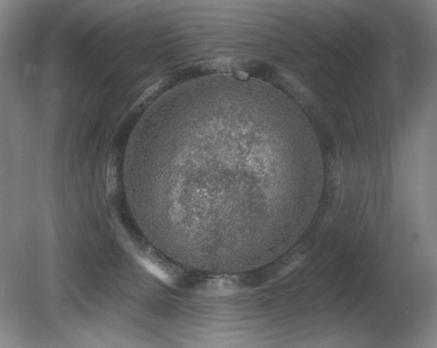 X0000080780080200612151440