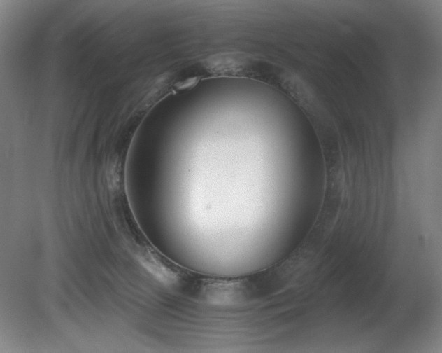 X0000080780081200612151440