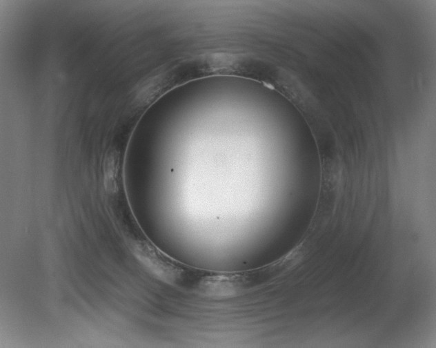 X0000080780082200612151440