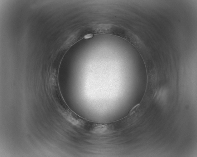 X0000080780083200612151440