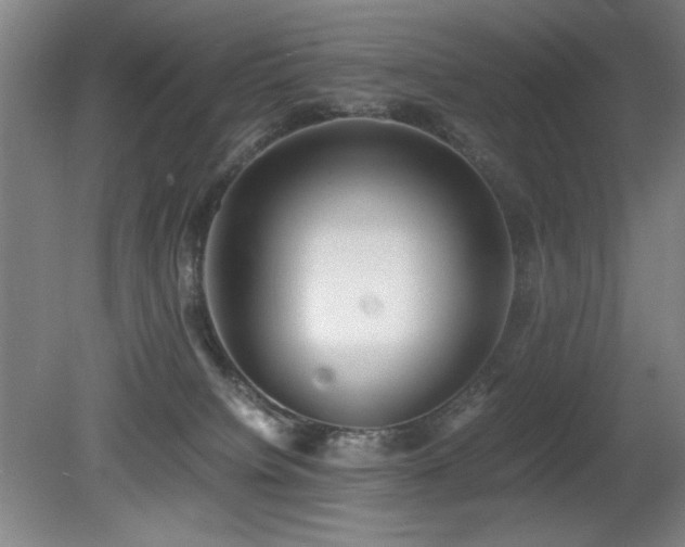 X0000080780084200612151440