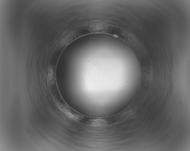 X0000080780087200612151440