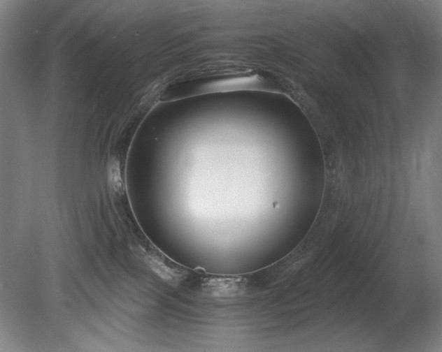 X0000080780089200612151440