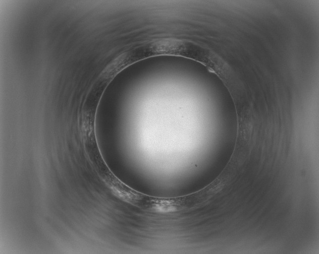 X0000080780091200612151440