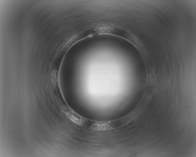 X0000080780093200612151440