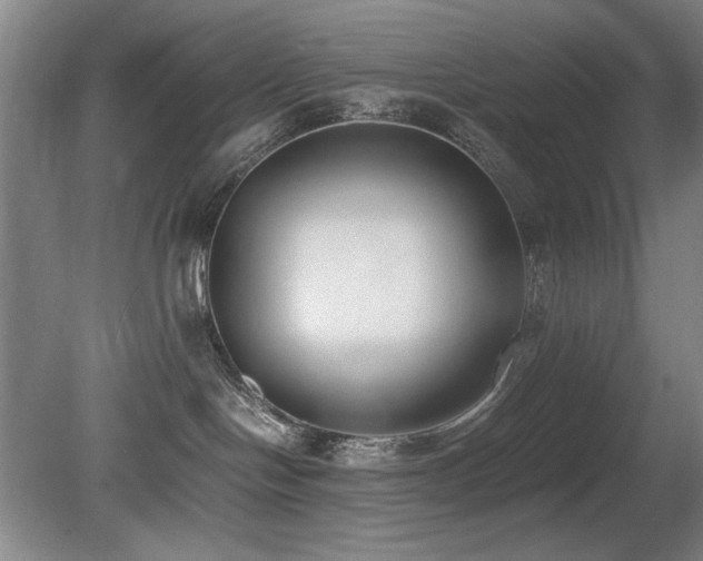 X0000080780094200612151440