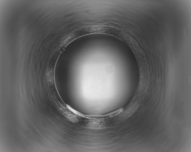 X0000080780096200612151440