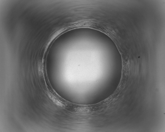 X0000080780100200612151439