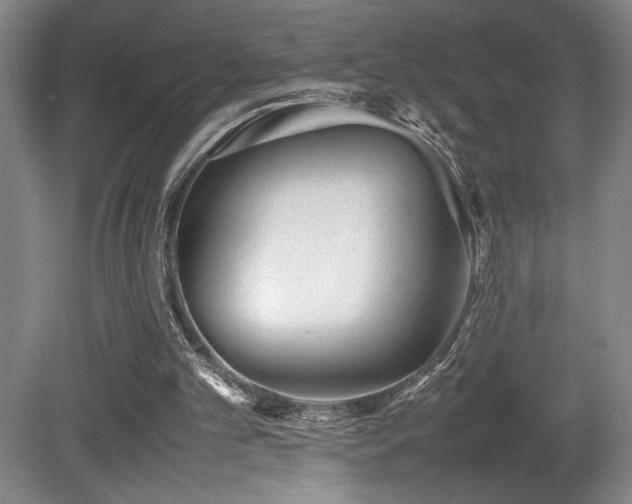 X0000080780101200612151439