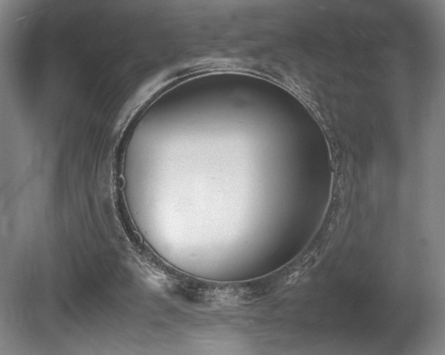 X0000080780103200612151439