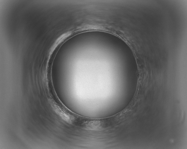 X0000080780104200612151439