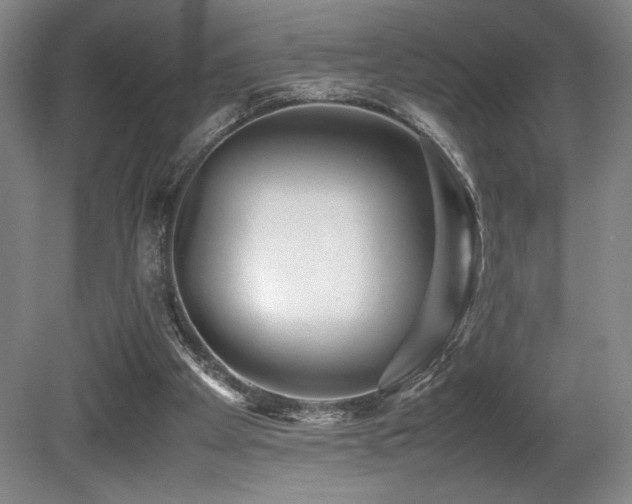 X0000080780105200612151439