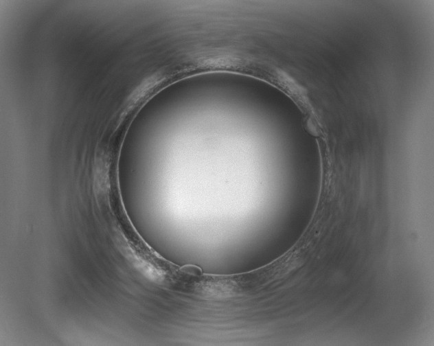 X0000080780106200612151439