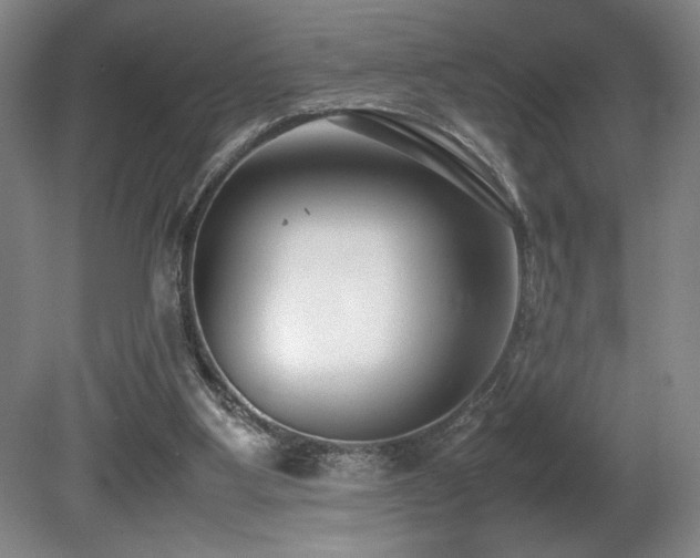 X0000080780107200612151439