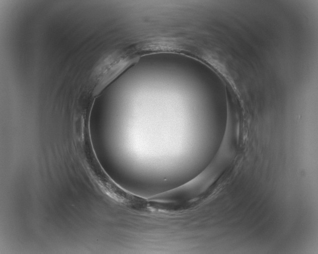 X0000080780109200612151439