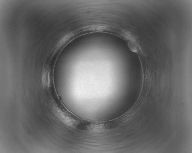 X0000080780110200612151439