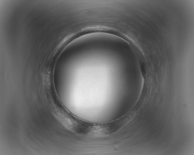 X0000080780111200612151439