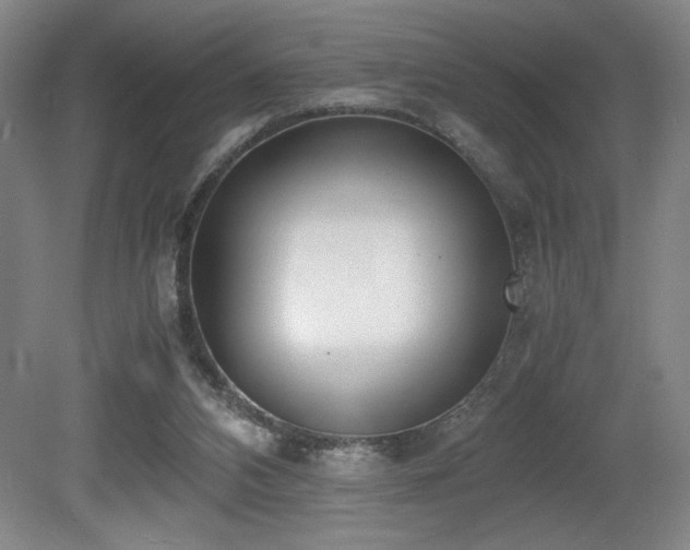 X0000080780112200612151439