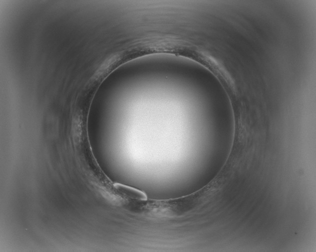 X0000080780113200612151439