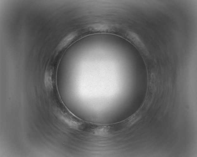 X0000080780116200612151439