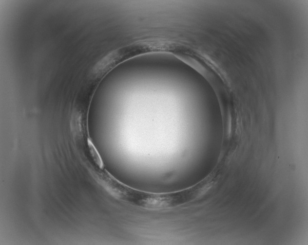 X0000080780117200612151439