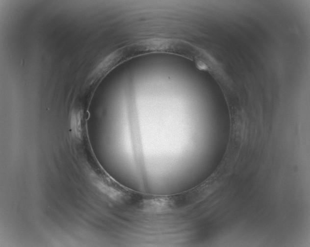 X0000080780118200612151439