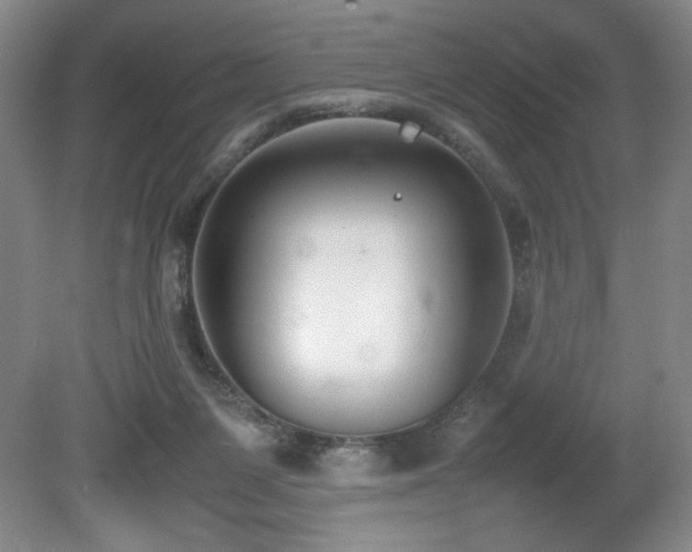 X0000080780119200612151439
