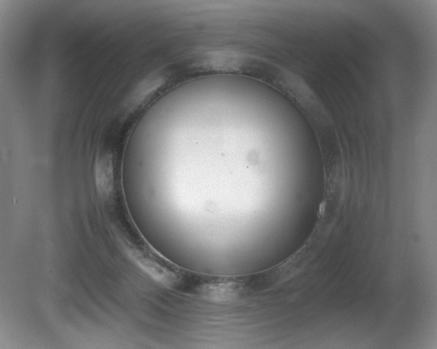 X0000080780120200612151439