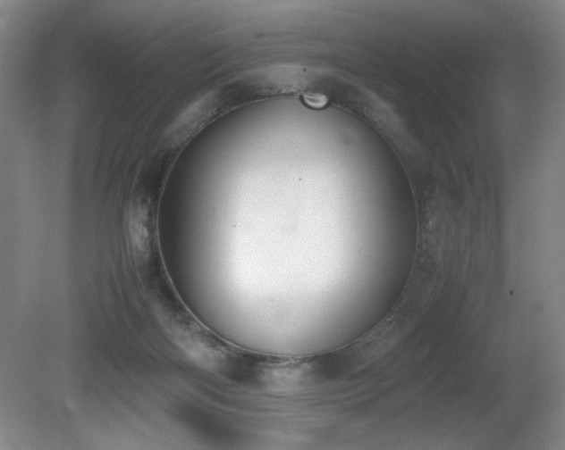 X0000080780122200612151439